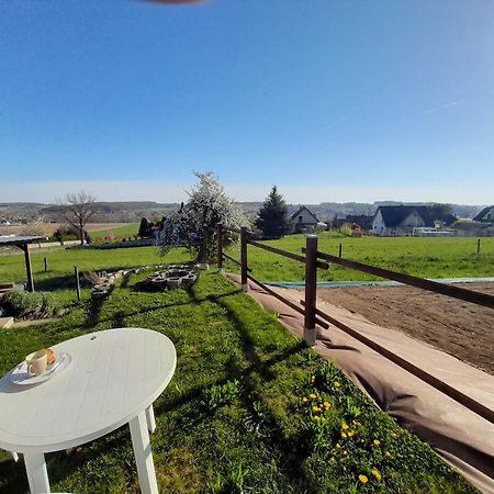 Location Type Gite, Chambre D'Hote, Meuble De Tourisme Dans Joli Petit Chalet Typique Et Ou Jolie Roulotte Type Boheme Waldighoffen Dış mekan fotoğraf